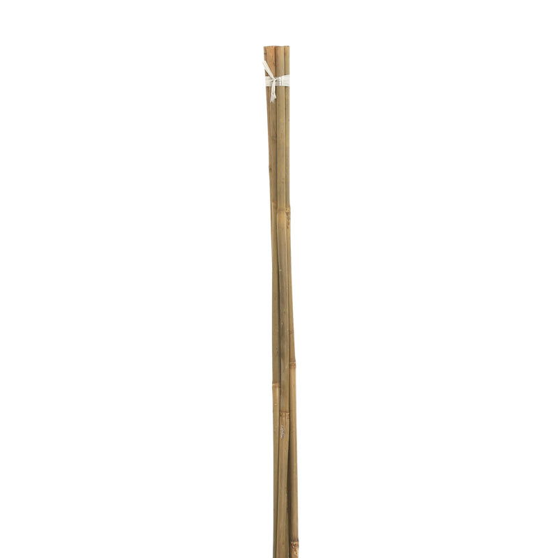 Bale Of Bamboo Stakes