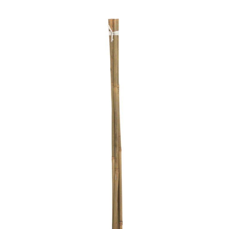 Cm Bale Of Bamboo Stakes