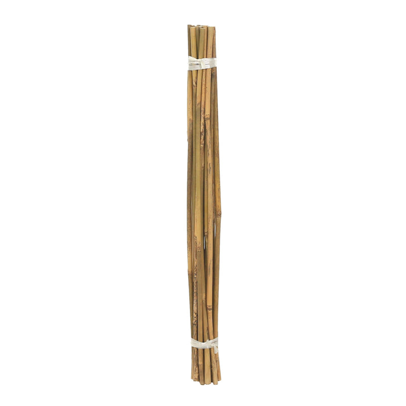 Cm Bale Of Bamboo Stakes
