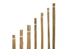 Cm Bale Of Bamboo Stakes