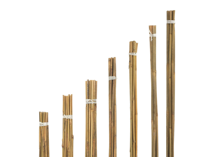 Bale Of Bamboo Stakes