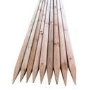 Round Tree Stake 3 X 120