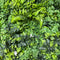 Foliage Square 1m