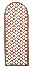 Willow Trellis Arche