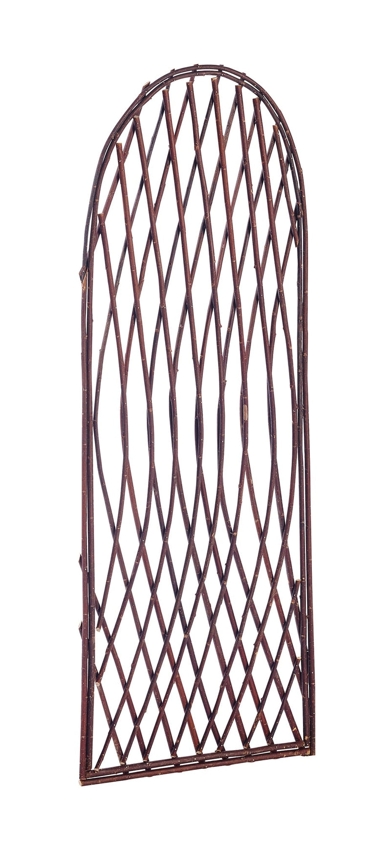Willow Lattice Arche