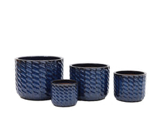 Viola Dark Blue Pots
