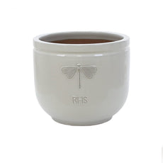 RHS Wildlife Cream Dragonfly