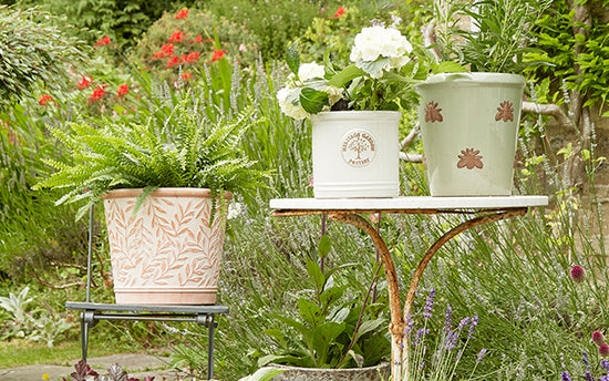 garden heritage plant pots